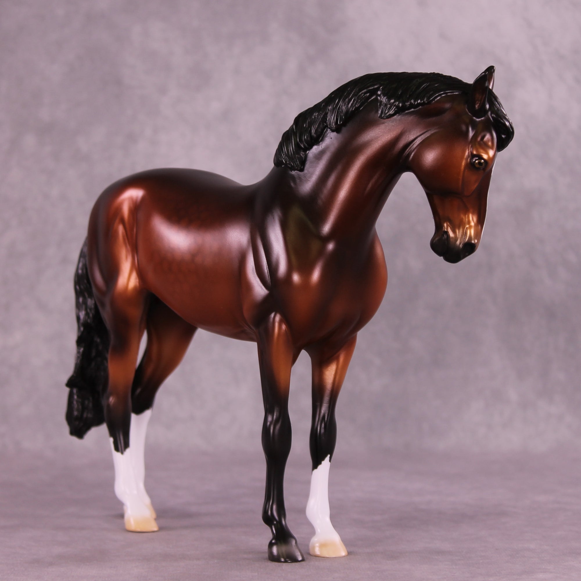 Antipholus of Ephesus LE-15 FCM Andalusian by Ellen Robbins CL25