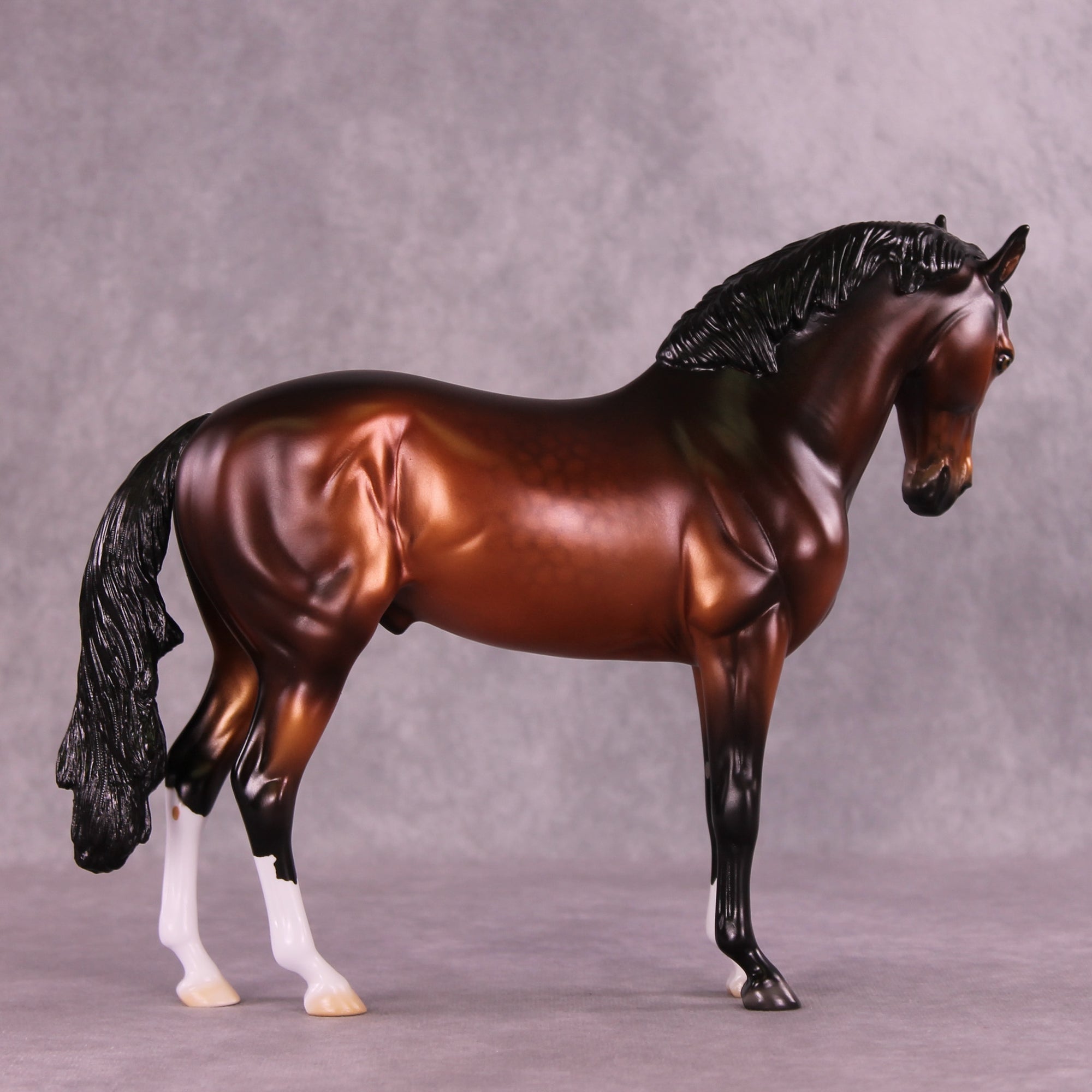 Antipholus of Ephesus LE-15 FCM Andalusian by Ellen Robbins CL25