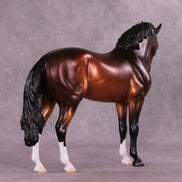 Antipholus of Ephesus LE-15 FCM Andalusian by Ellen Robbins CL25