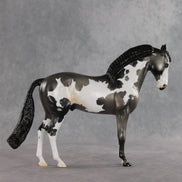 Baking Soda OOAK FCM Andalusian by Jess Hamill DDOOAKs26