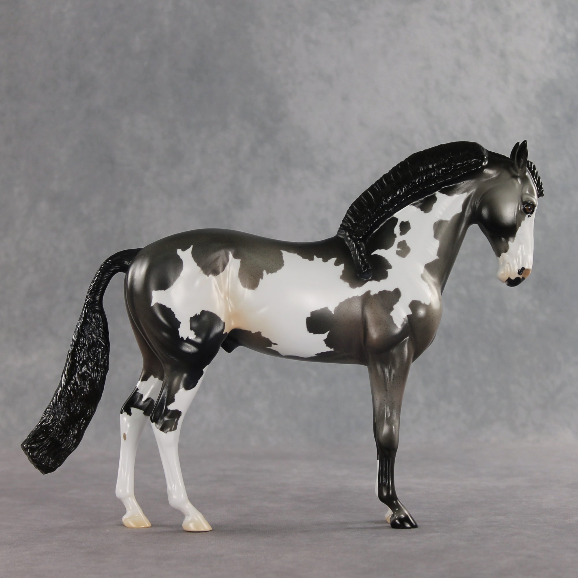 Baking Soda OOAK FCM Andalusian by Jess Hamill DDOOAKs26