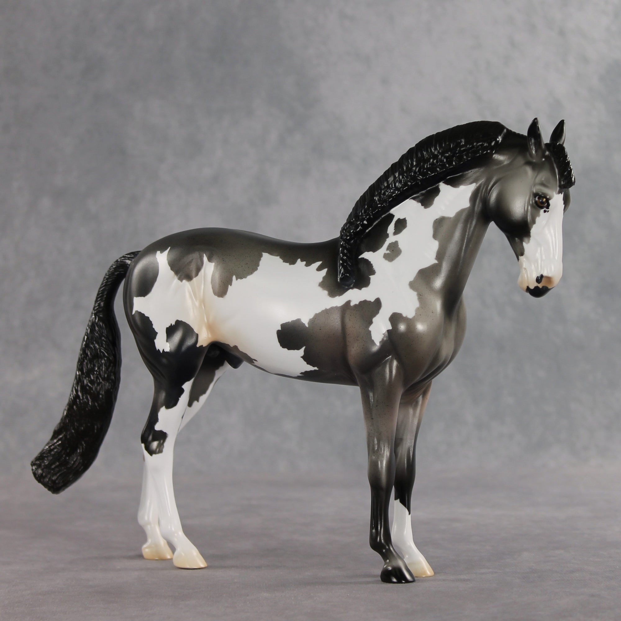 Baking Soda OOAK FCM Andalusian by Jess Hamill DDOOAKs26