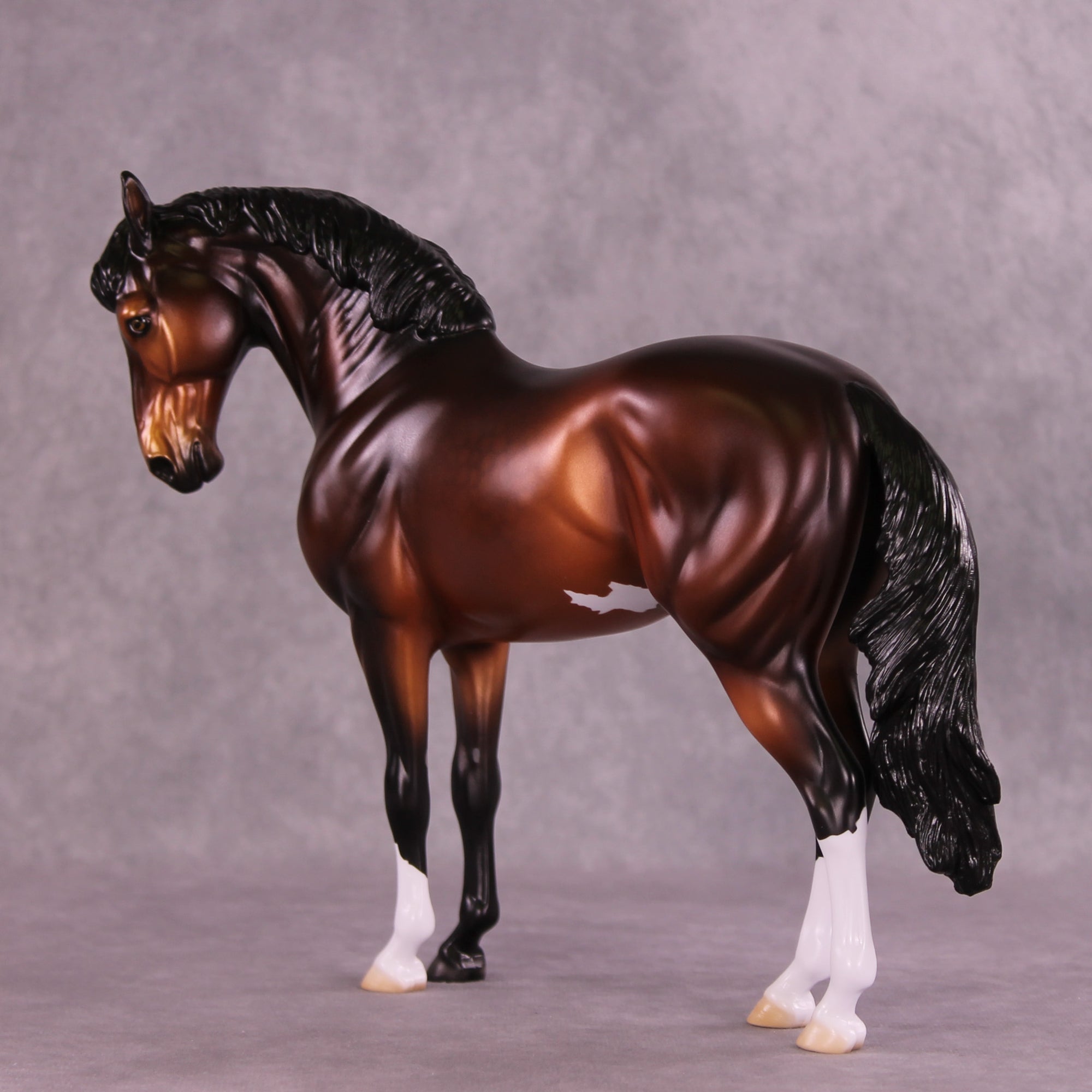 Antipholus of Ephesus LE-15 FCM Andalusian by Ellen Robbins CL25