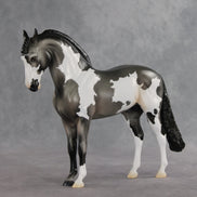 Baking Soda OOAK FCM Andalusian by Jess Hamill DDOOAKs26