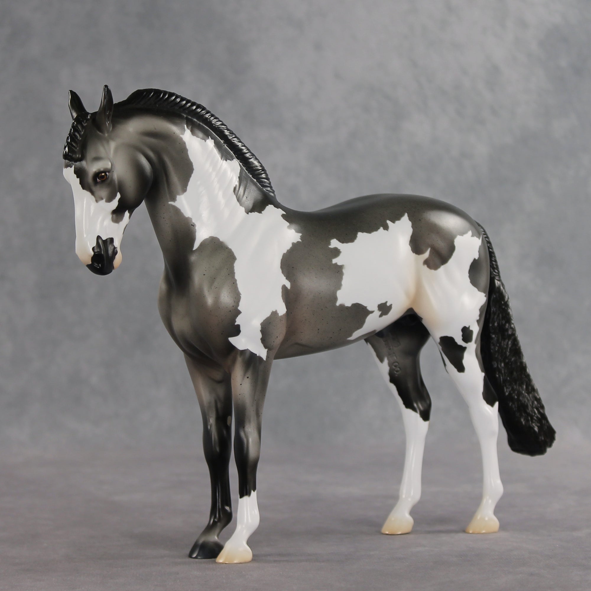 Baking Soda OOAK FCM Andalusian by Jess Hamill DDOOAKs26