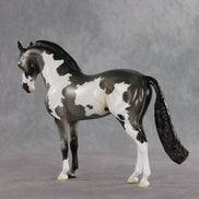 Baking Soda OOAK FCM Andalusian by Jess Hamill DDOOAKs26
