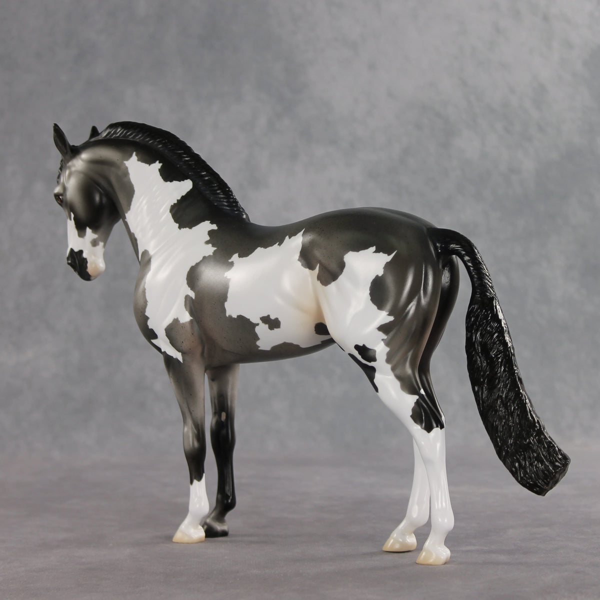 Baking Soda OOAK FCM Andalusian by Jess Hamill DDOOAKs26