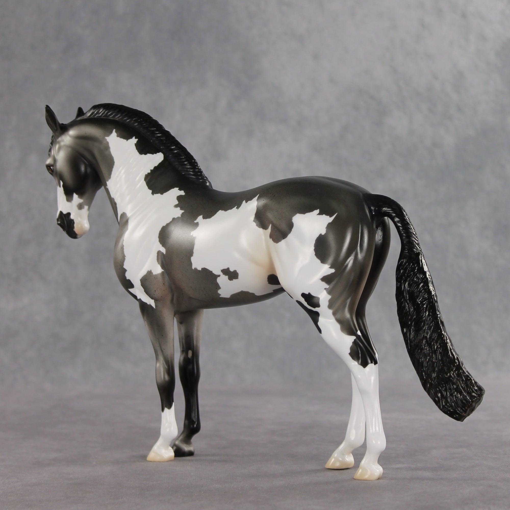 Baking Soda OOAK FCM Andalusian by Jess Hamill DDOOAKs26