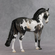 Baking Soda OOAK FCM Andalusian by Jess Hamill DDOOAKs26