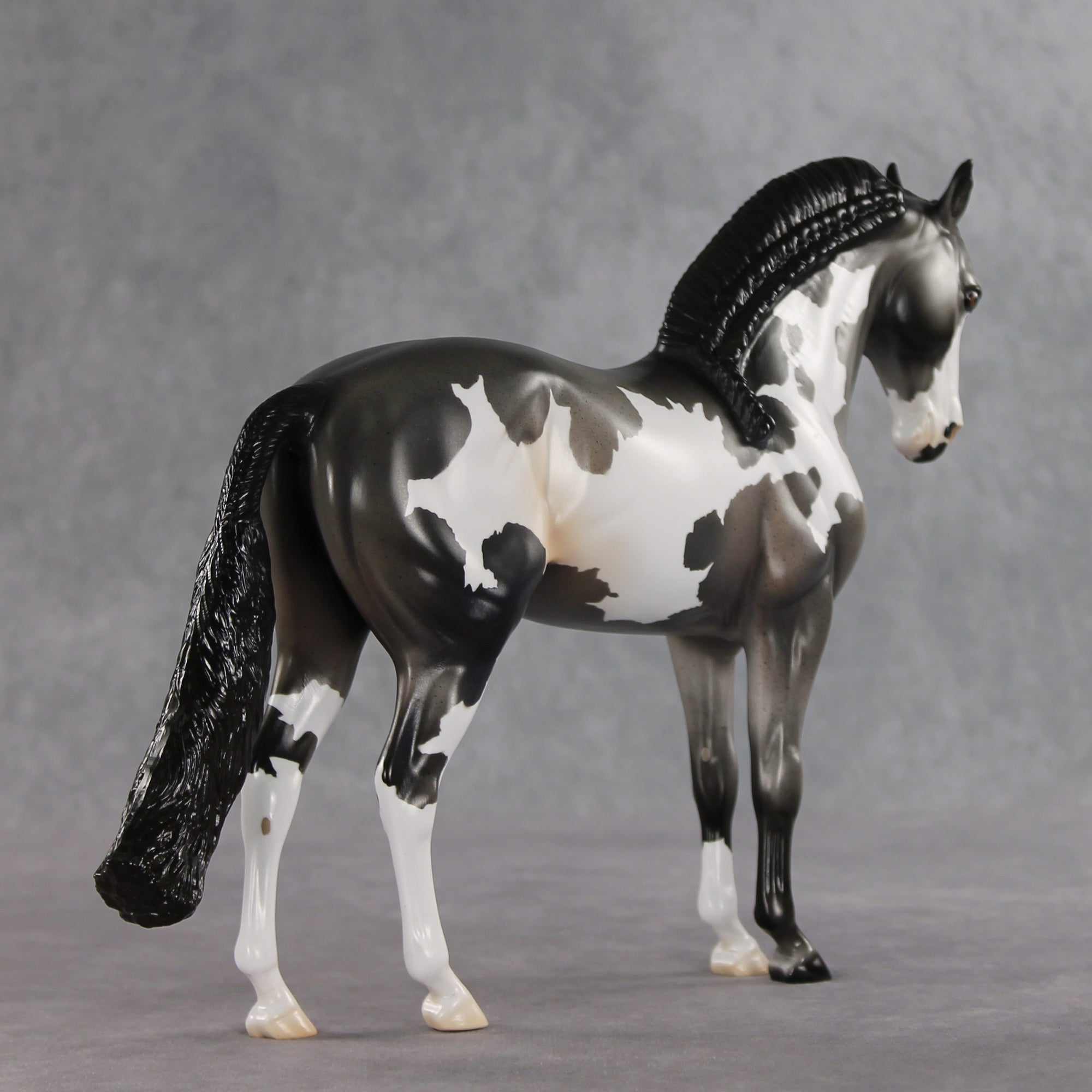Baking Soda OOAK FCM Andalusian by Jess Hamill DDOOAKs26