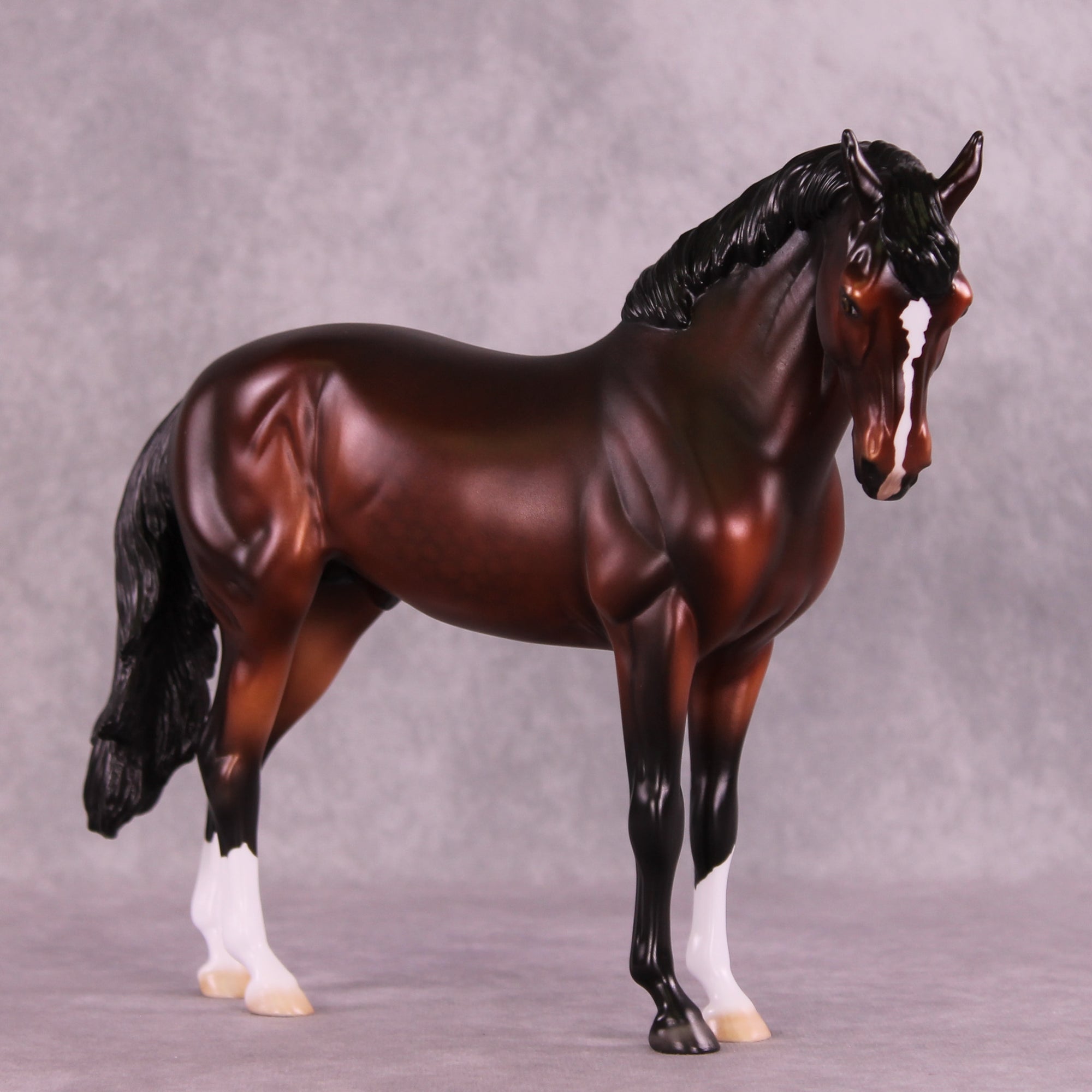 Antipholus of Syracuse LE-15 FCM Andalusian by Ellen Robbins CL25