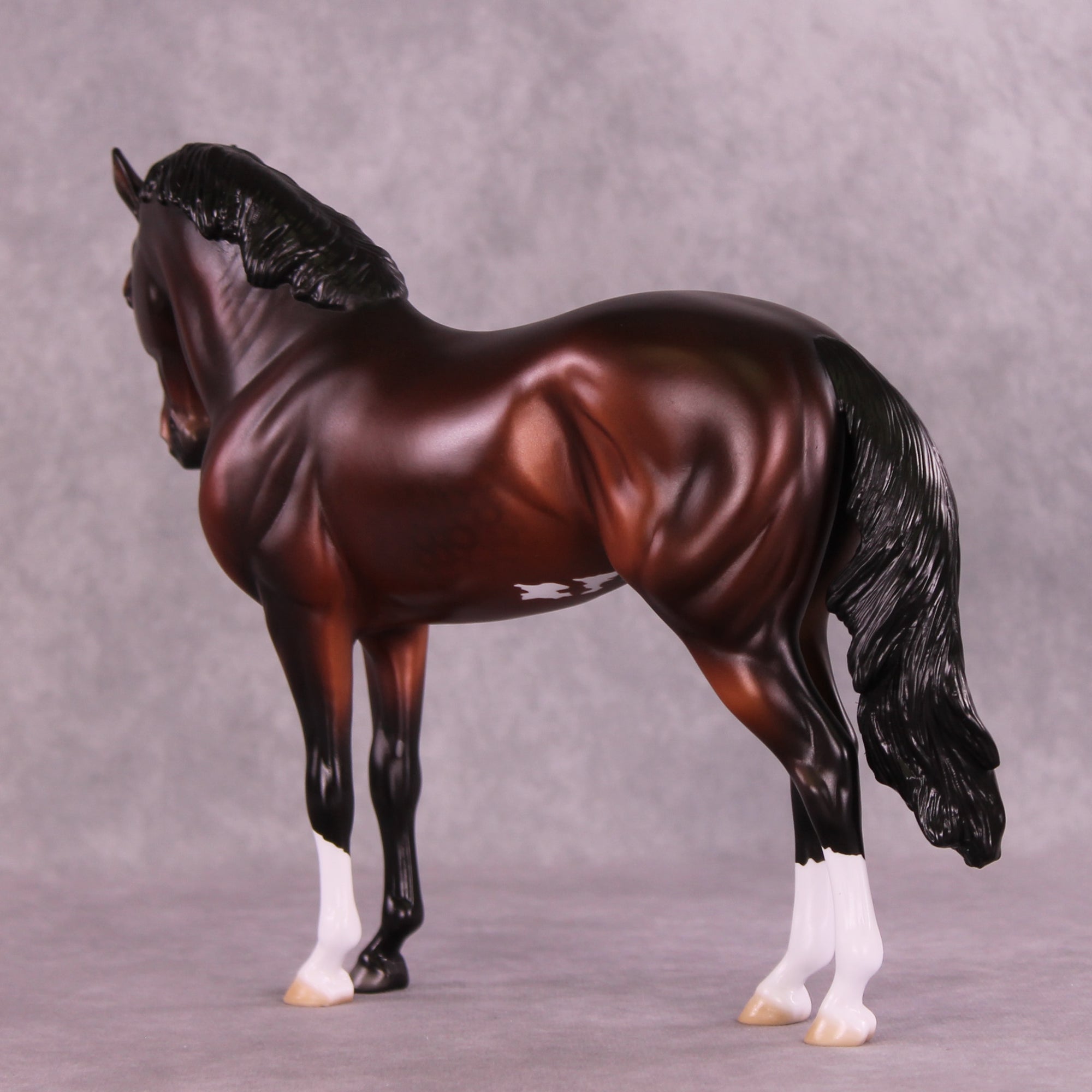 Antipholus of Syracuse LE-15 FCM Andalusian by Ellen Robbins CL25