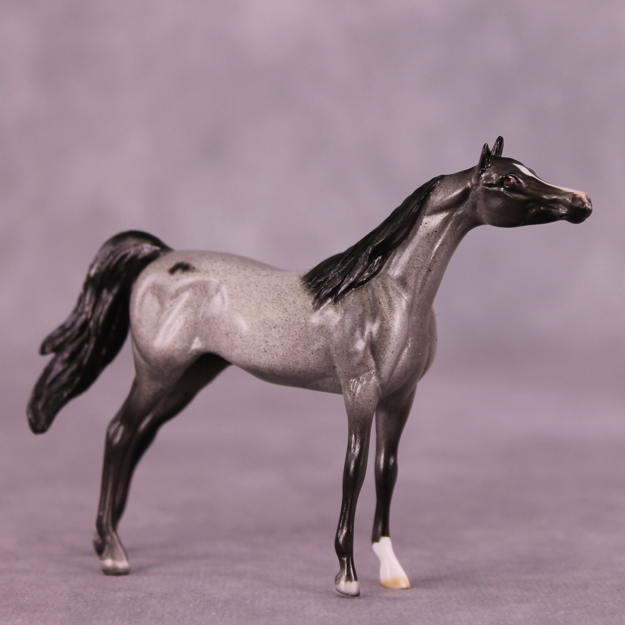 Tiddles or Min LE-12 Arabian Chip By Dawn Quick FS25