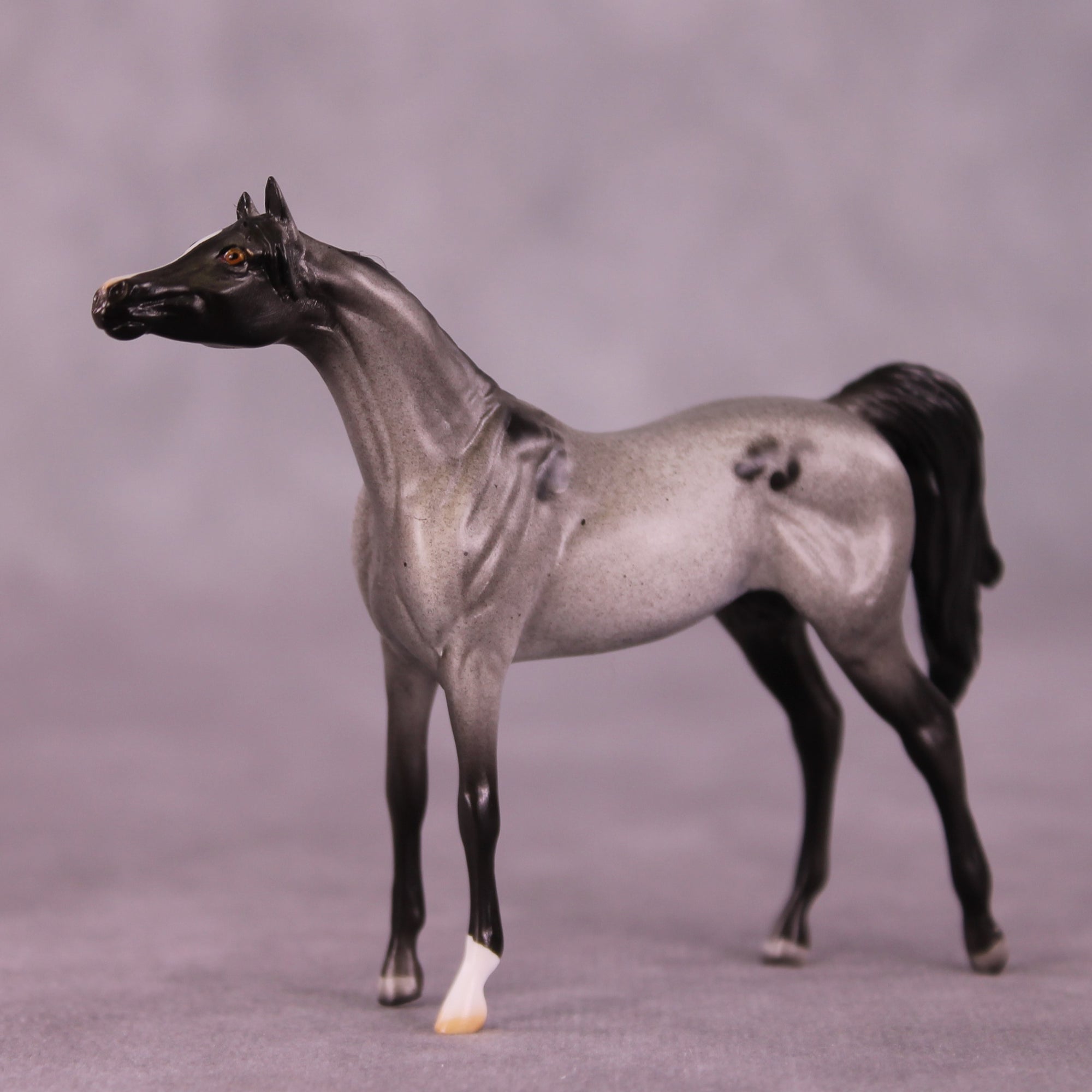 Tiddles or Min LE-12 Arabian Chip By Dawn Quick FS25