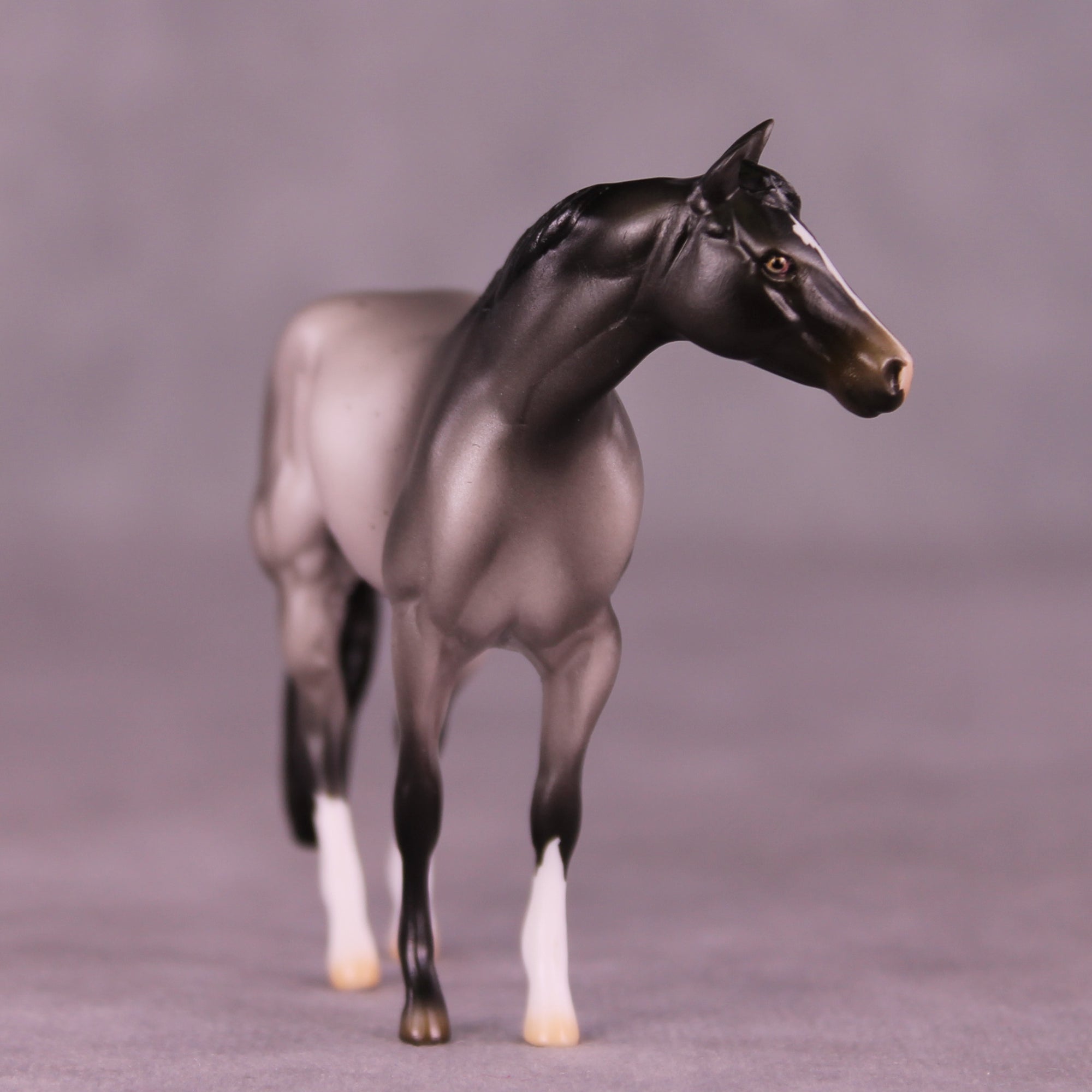 Dromeo of Ephesus LE-15 FCM Chip Stock Horse by Ellen Robbins CL25