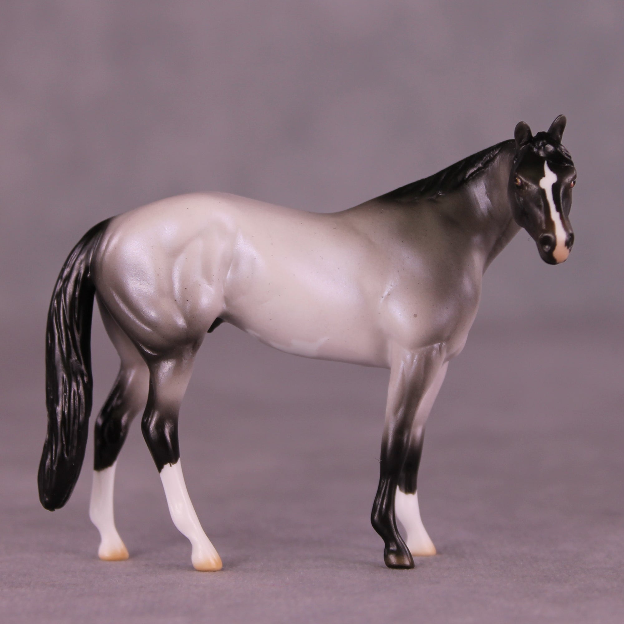 Dromeo of Syracuse LE-15 FCM Chip Stock Horse by Ellen Robbins CL25