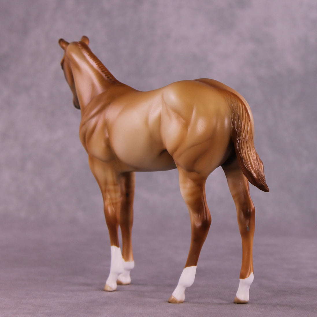 "Avanel" OOAK Weanling by Julie Keim EQ25