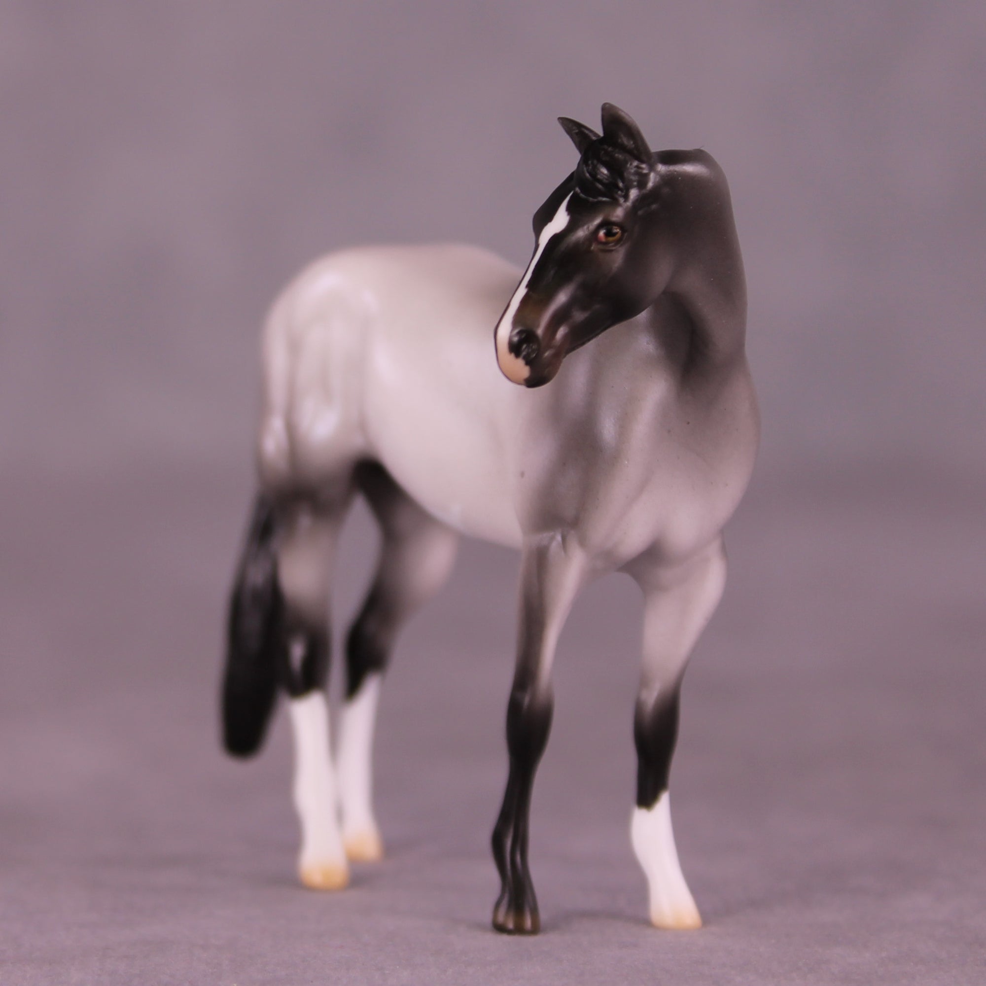 Dromeo of Syracuse LE-15 FCM Chip Stock Horse by Ellen Robbins CL25