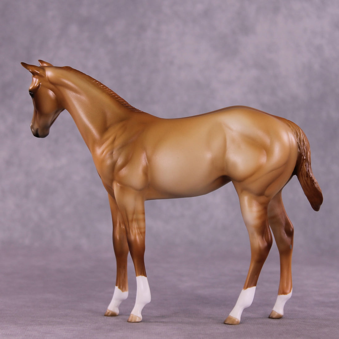 "Avanel" OOAK Weanling by Julie Keim EQ25