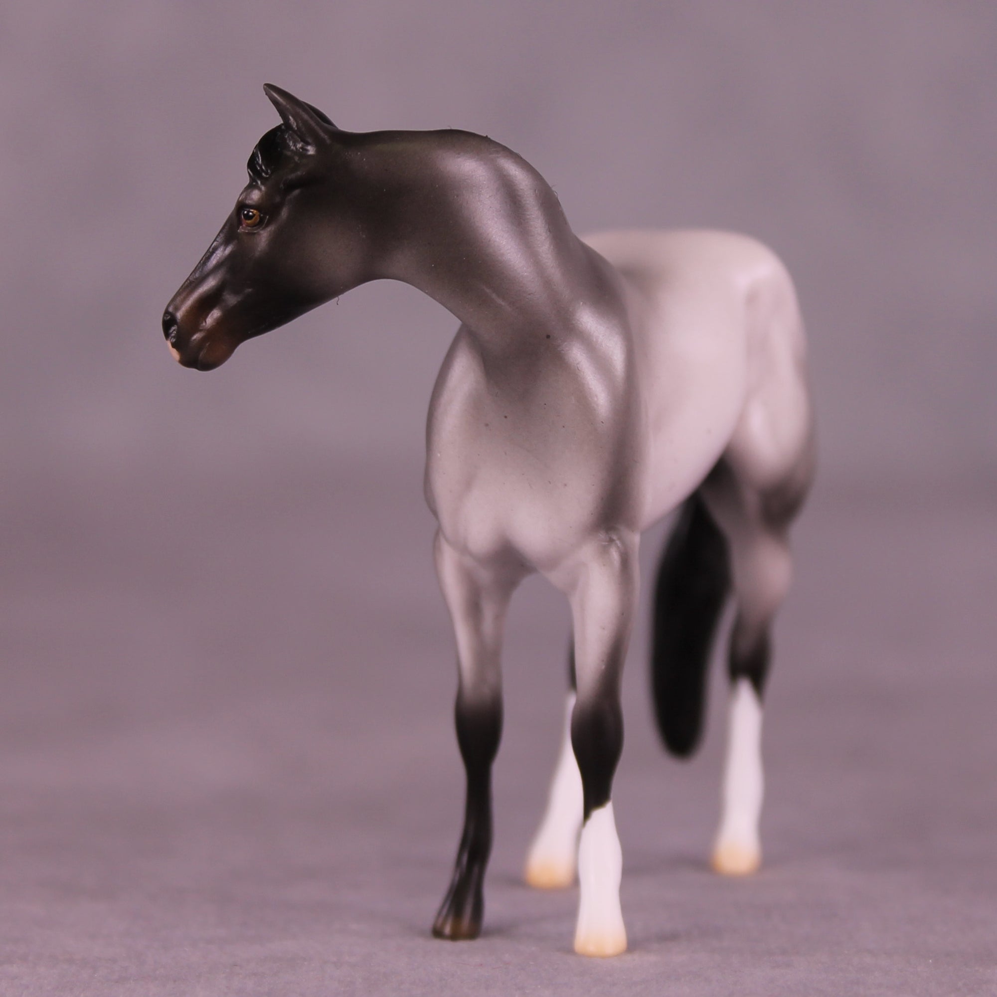 Dromeo of Syracuse LE-15 FCM Chip Stock Horse by Ellen Robbins CL25