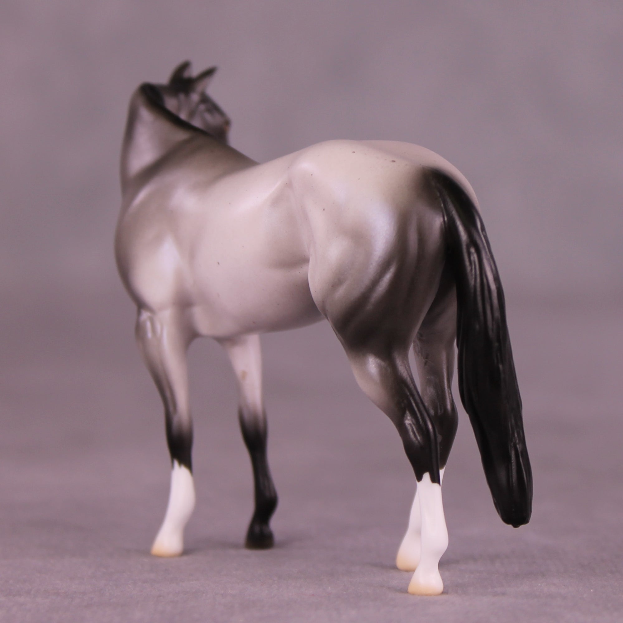 Dromeo of Syracuse LE-15 FCM Chip Stock Horse by Ellen Robbins CL25
