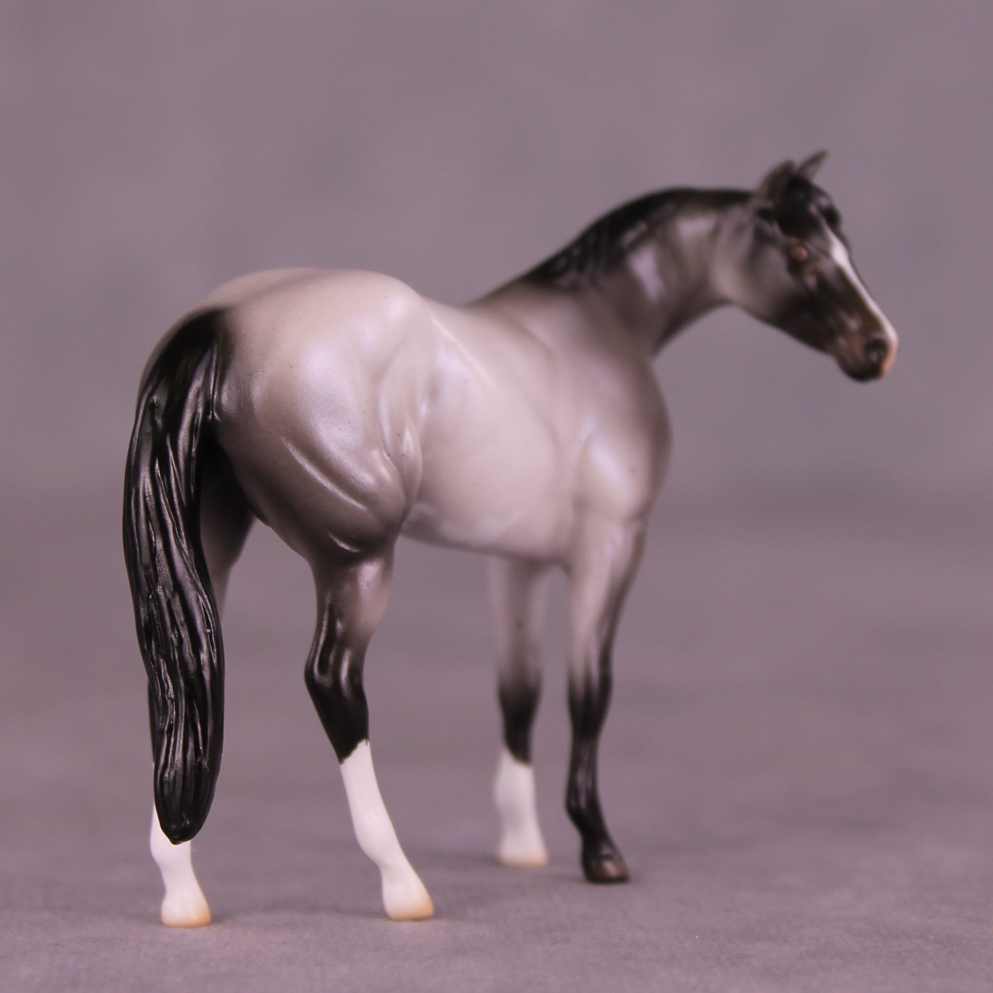 Dromeo of Syracuse LE-15 FCM Chip Stock Horse by Ellen Robbins CL25
