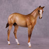 &quot;Avanel&quot; OOAK Weanling by Julie Keim EQ25