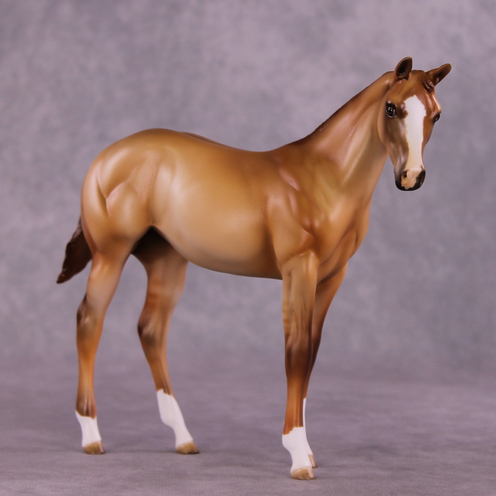 "Avanel" OOAK Weanling by Julie Keim EQ25