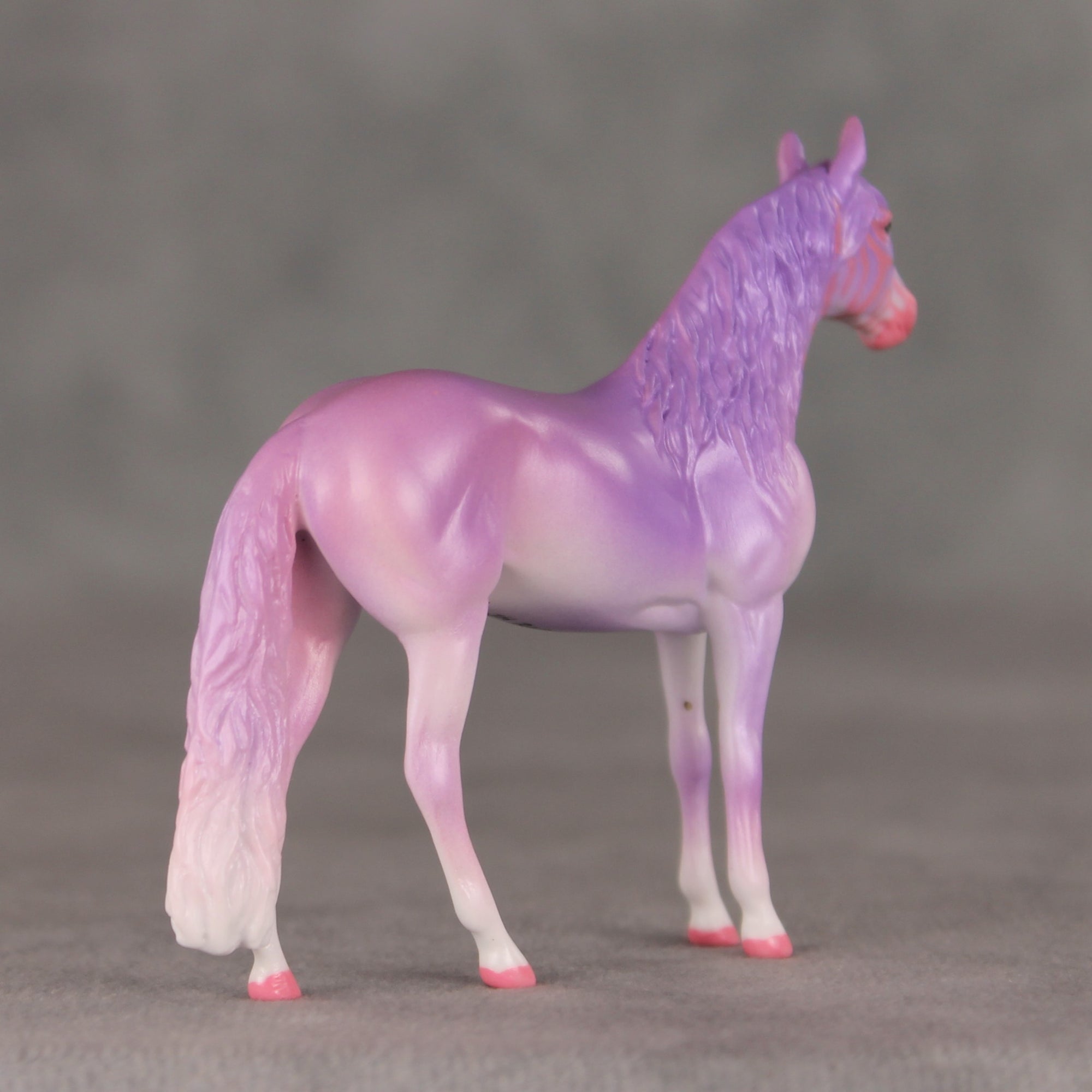 Date with Destiny OOAK Chip Andalusian by Jess Hamill VV26