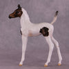 &quot;Pip&quot; OOAK Arab Foal by Julie Keim EQ25