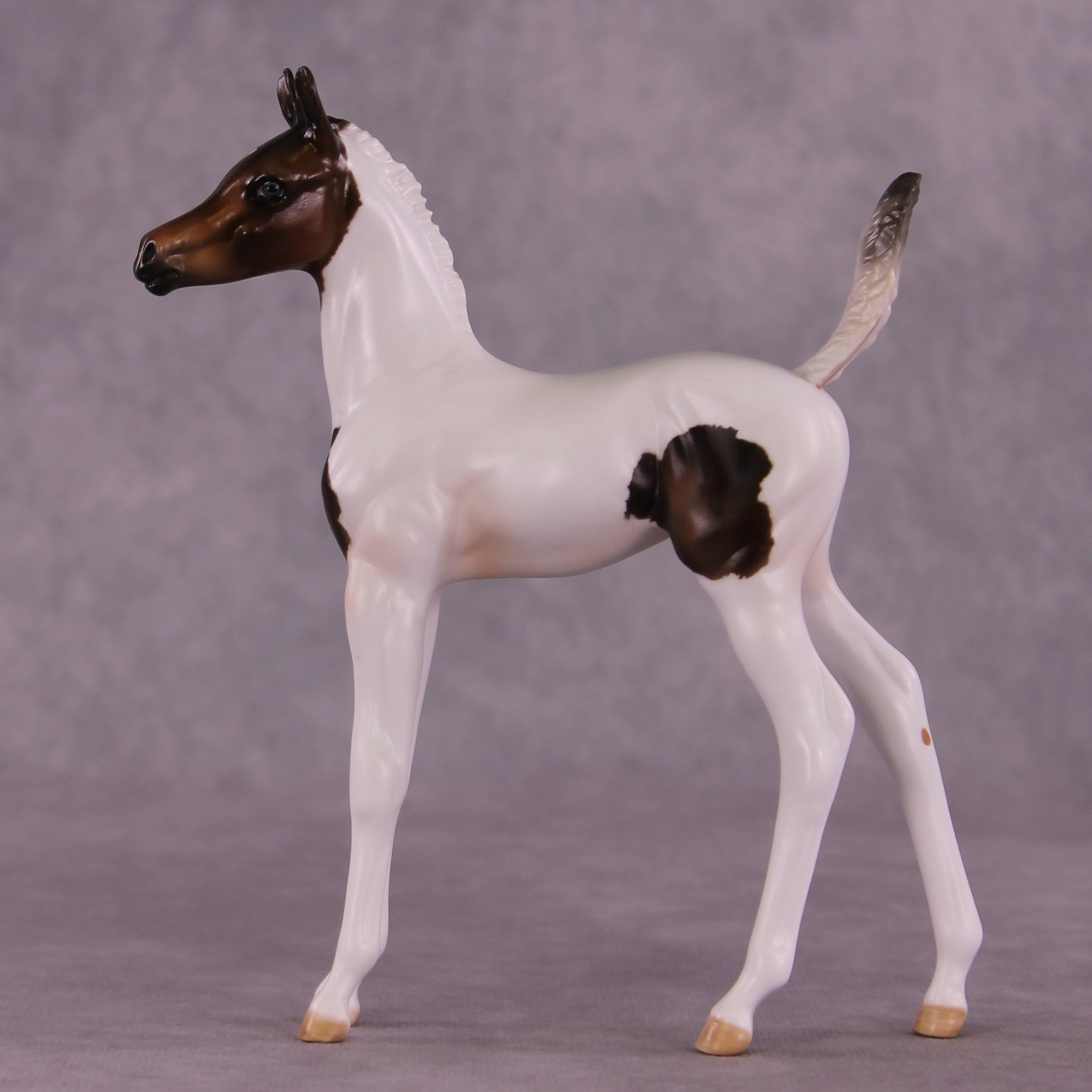 "Pip" OOAK Arab Foal by Julie Keim EQ25