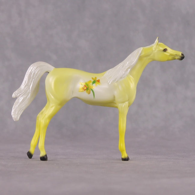 "Narcisco" LE-4 Arabian Chip By Dawn Quick March Flower Series FS25