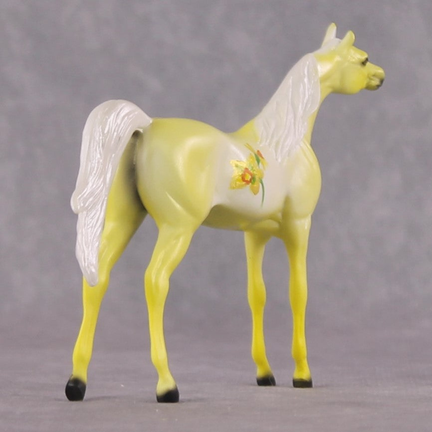 "Narcisco" LE-4 Arabian Chip By Dawn Quick March Flower Series FS25