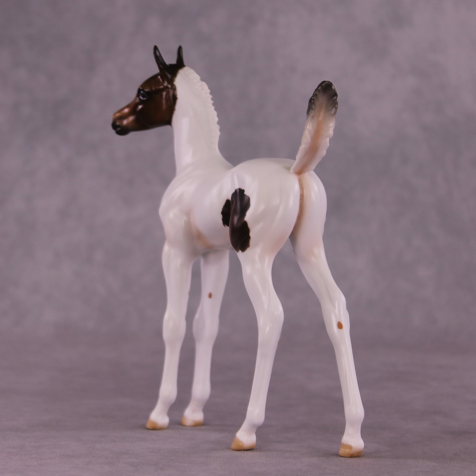 "Pip" OOAK Arab Foal by Julie Keim EQ25