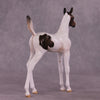 &quot;Pip&quot; OOAK Arab Foal by Julie Keim EQ25