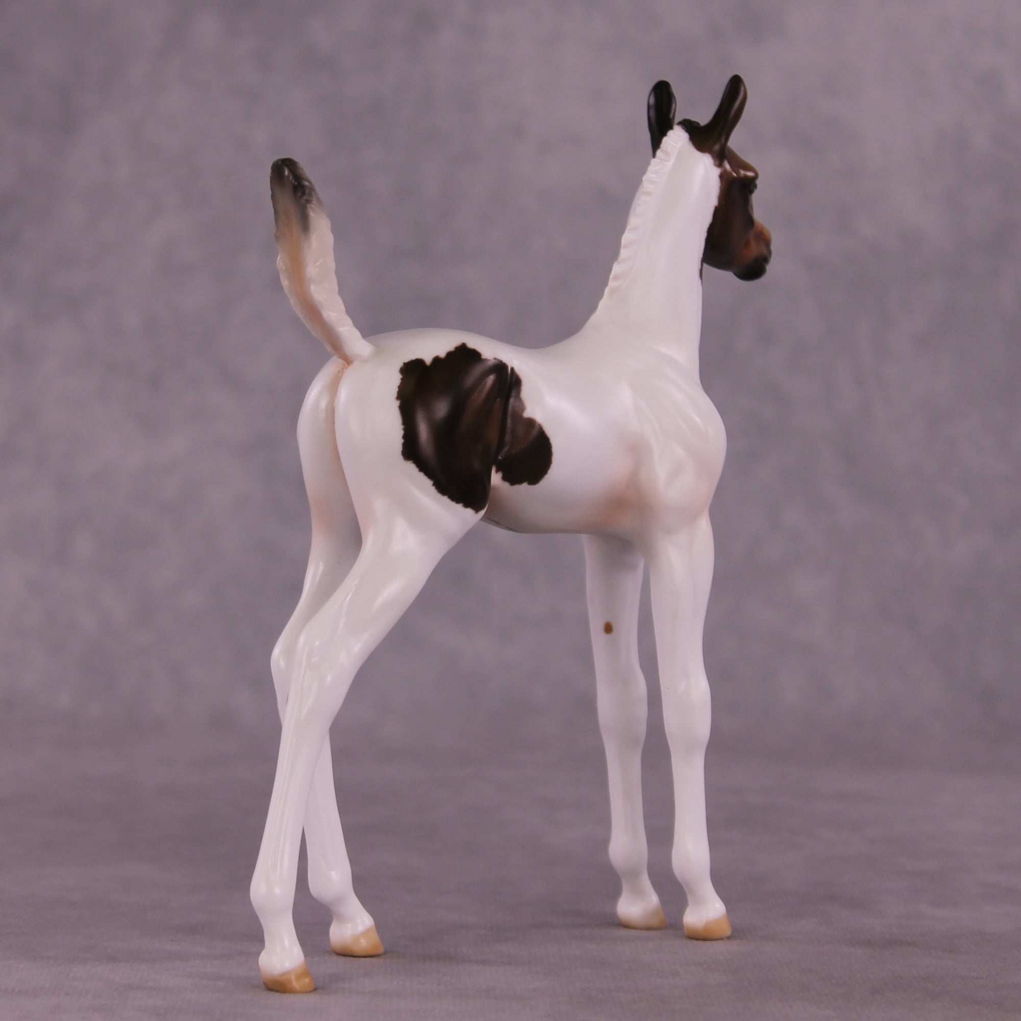 "Pip" OOAK Arab Foal by Julie Keim EQ25