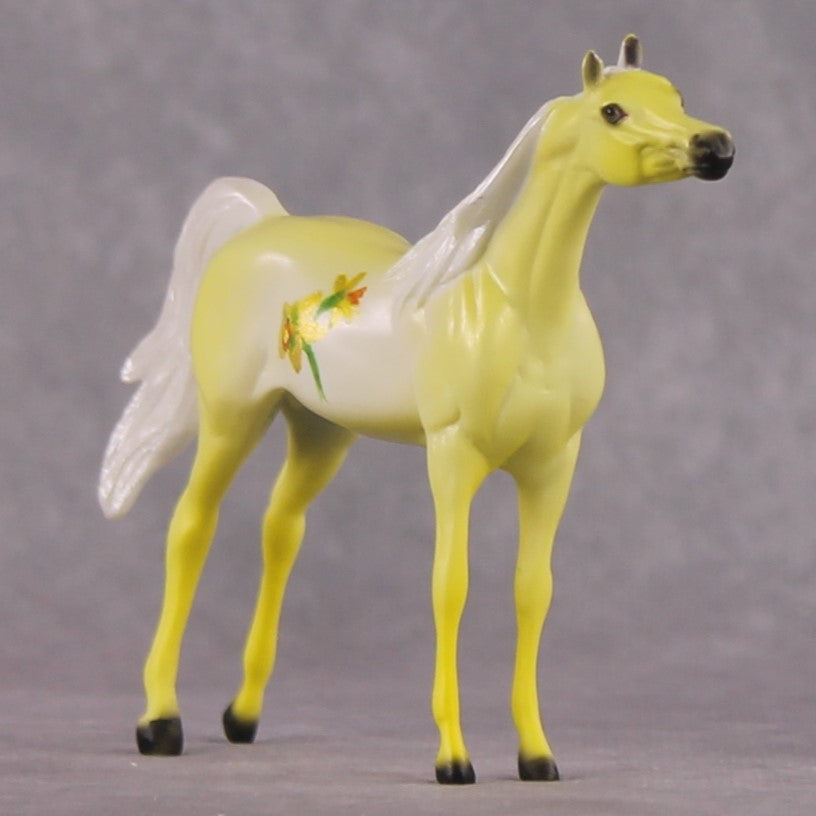 "Narcisco" LE-4 Arabian Chip By Dawn Quick March Flower Series FS25