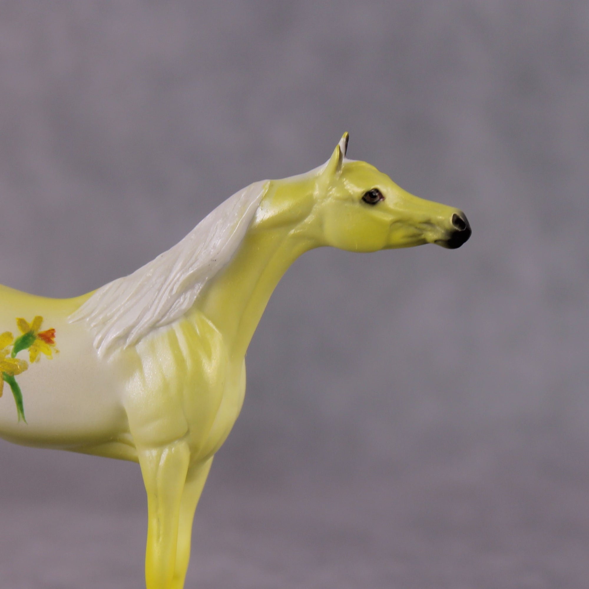 "Narcisco" LE-4 Arabian Chip By Dawn Quick March Flower Series FS25