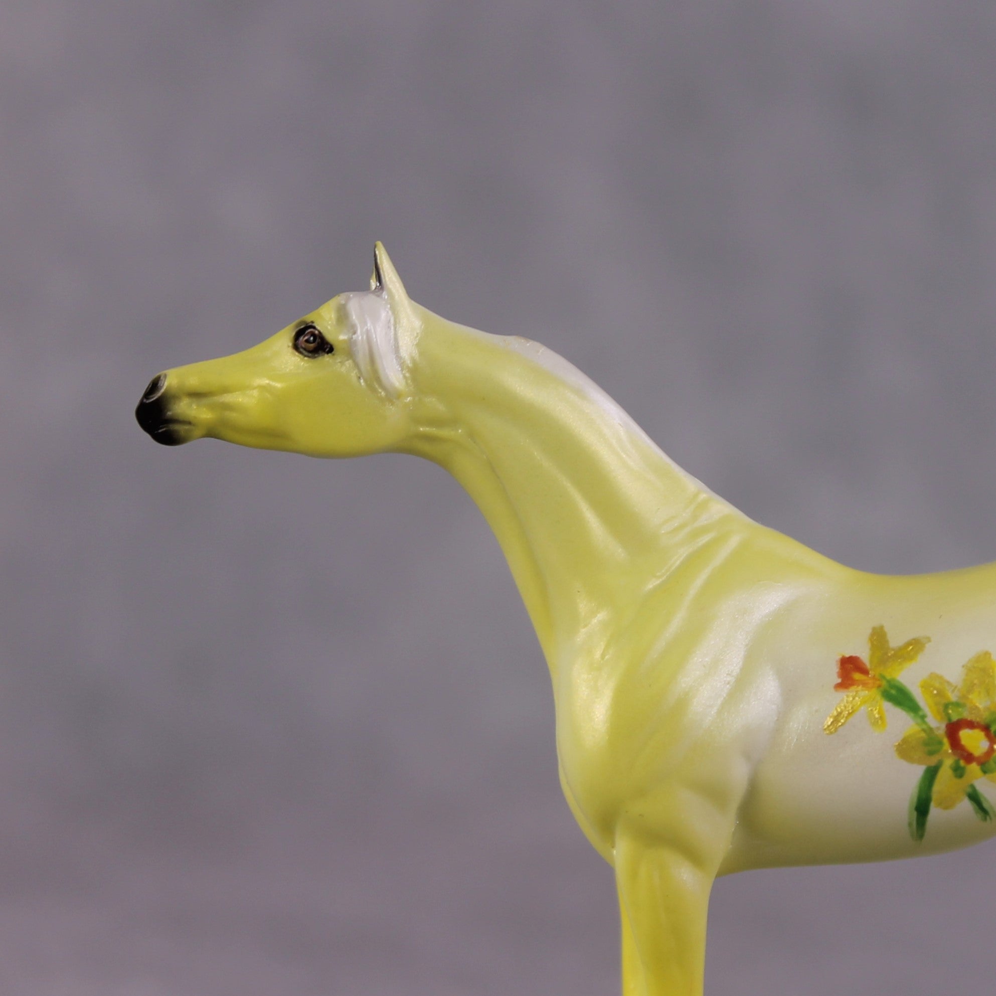 "Narcisco" LE-4 Arabian Chip By Dawn Quick March Flower Series FS25