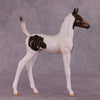 &quot;Pip&quot; OOAK Arab Foal by Julie Keim EQ25