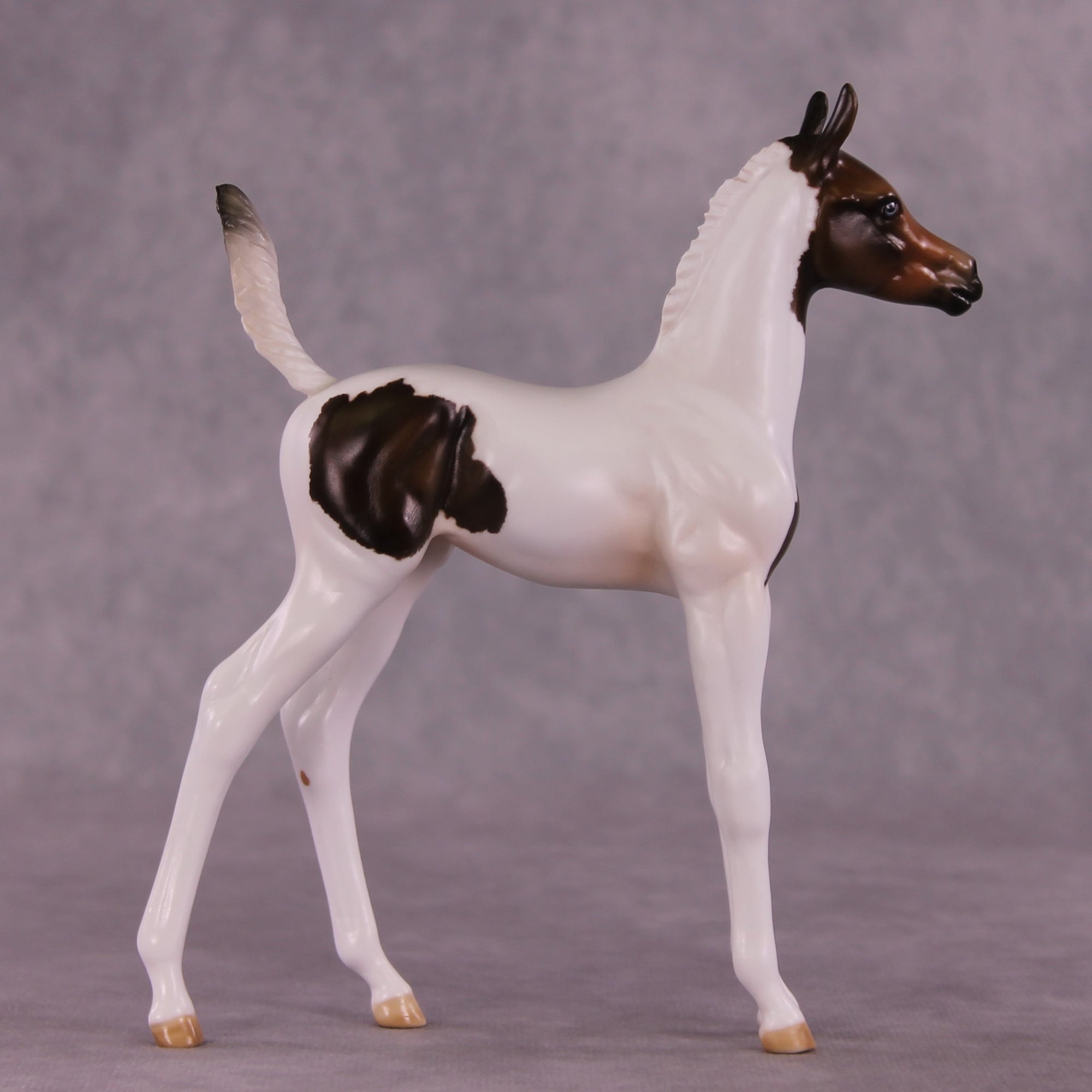 "Pip" OOAK Arab Foal by Julie Keim EQ25