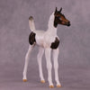 &quot;Pip&quot; OOAK Arab Foal by Julie Keim EQ25