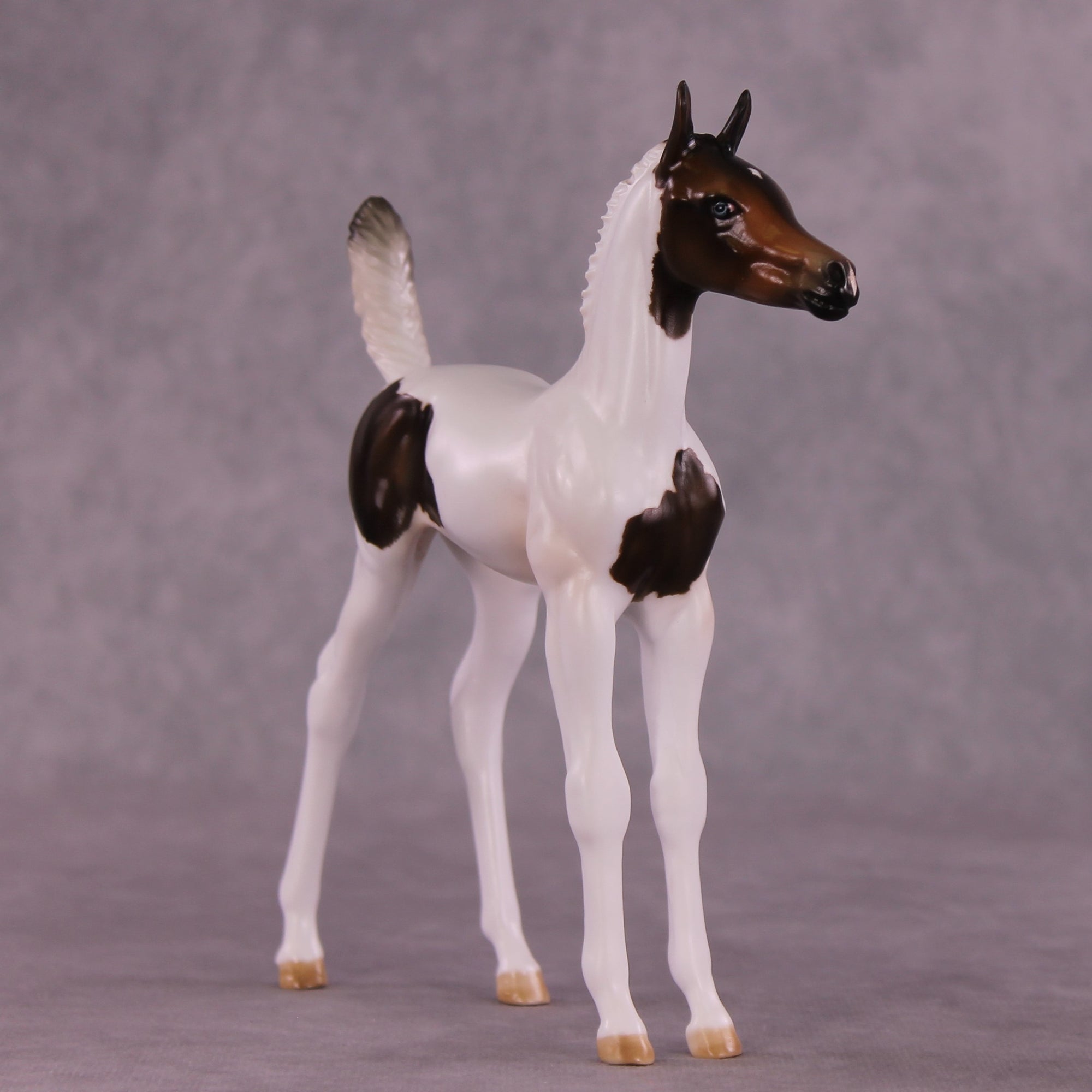 "Pip" OOAK Arab Foal by Julie Keim EQ25
