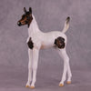 &quot;Pip&quot; OOAK Arab Foal by Julie Keim EQ25