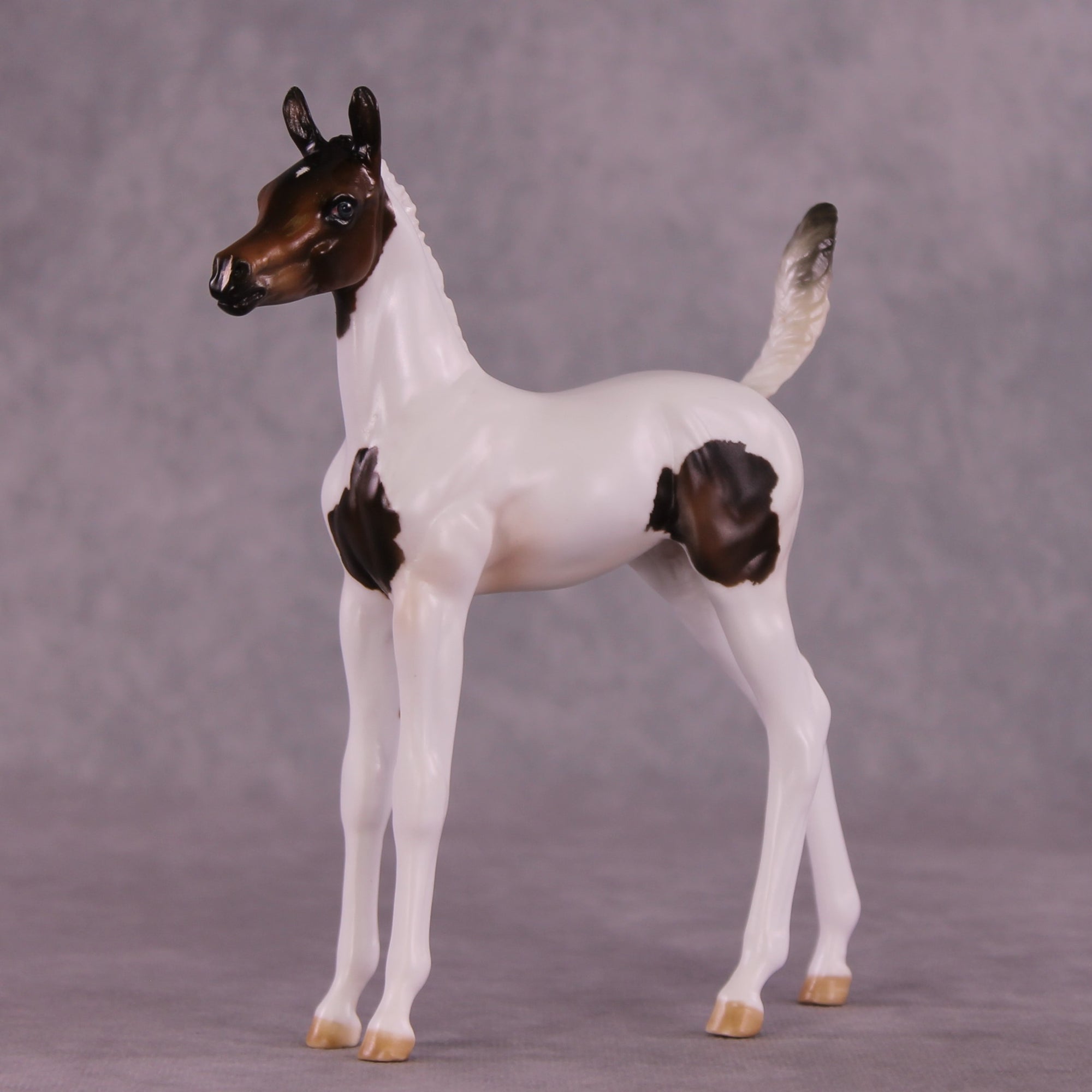 "Pip" OOAK Arab Foal by Julie Keim EQ25