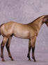 "Zia" OOAK Weanling by Julie Keim EQ25