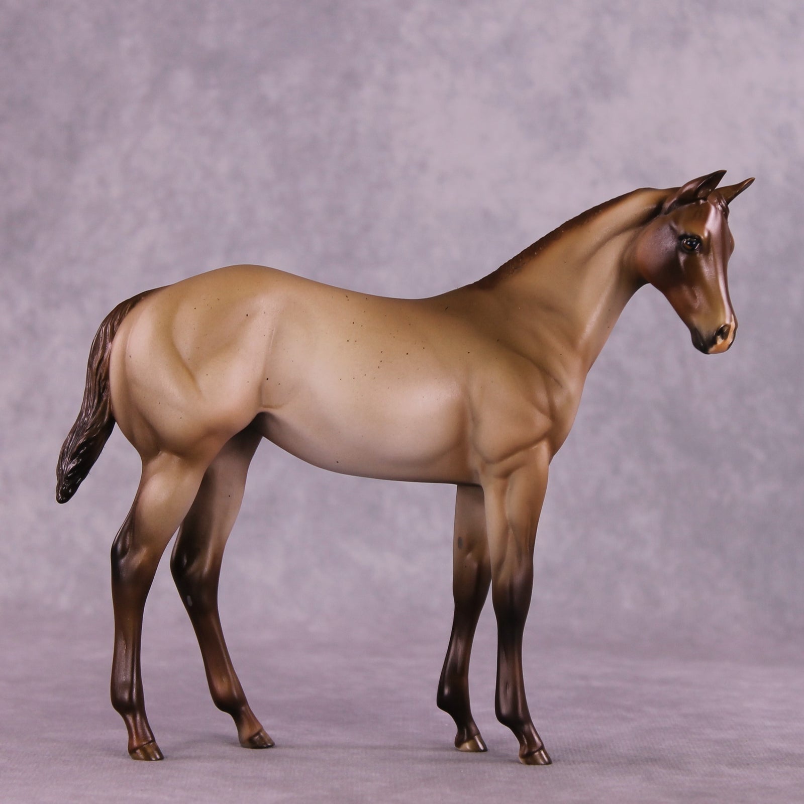 "Zia" OOAK Weanling by Julie Keim EQ25
