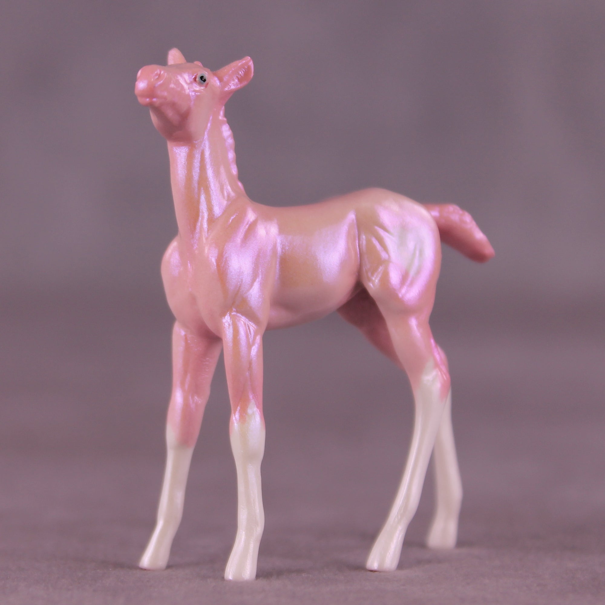 Red Bottoms LE-5 Chip Foal by Erin Corbett SCD25