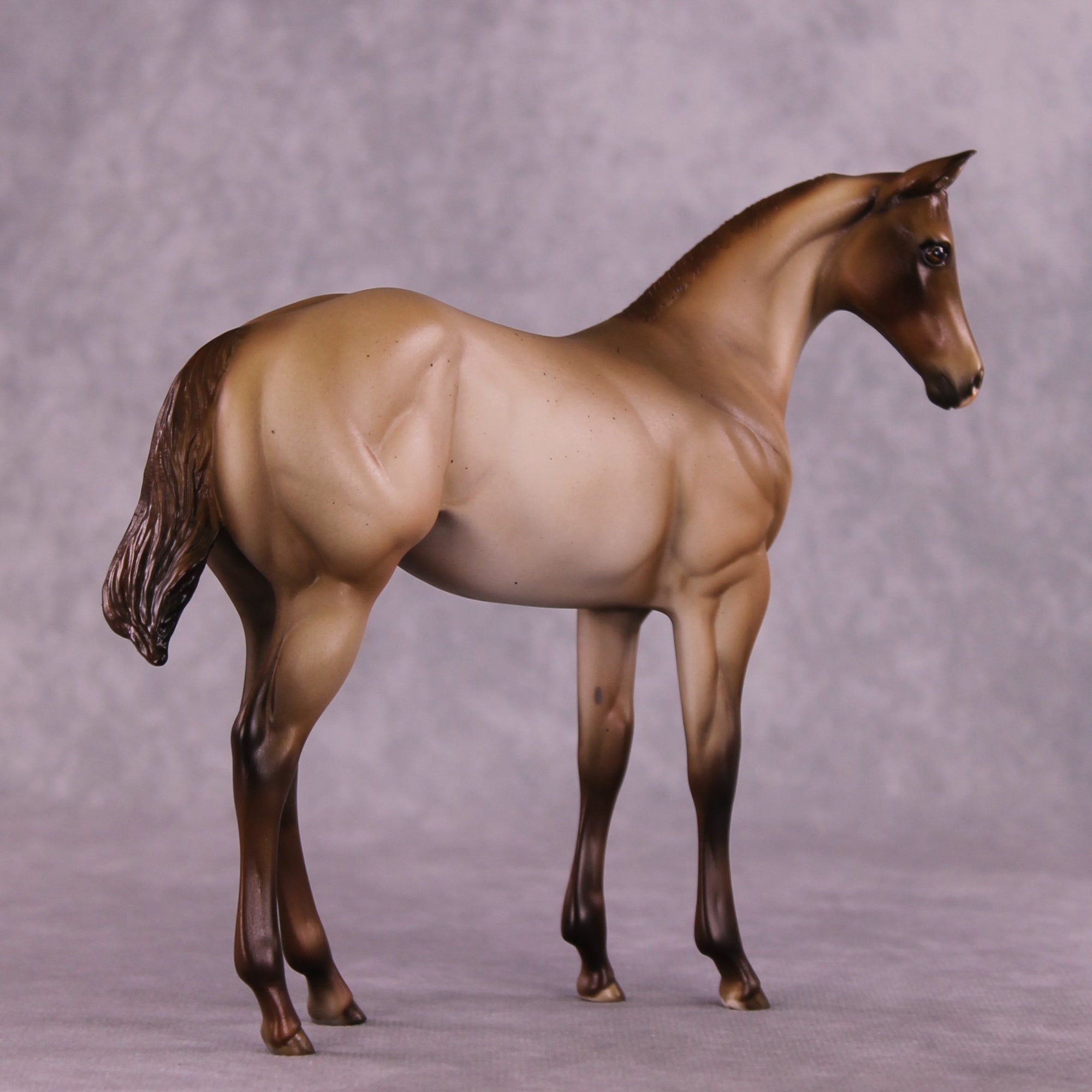 "Zia" OOAK Weanling by Julie Keim EQ25