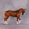 &quot;Grumpy Muffin&quot; OOAK FCM Thoroughbred By Kristen Cermele SHCF25 Best Offer 5/27/25